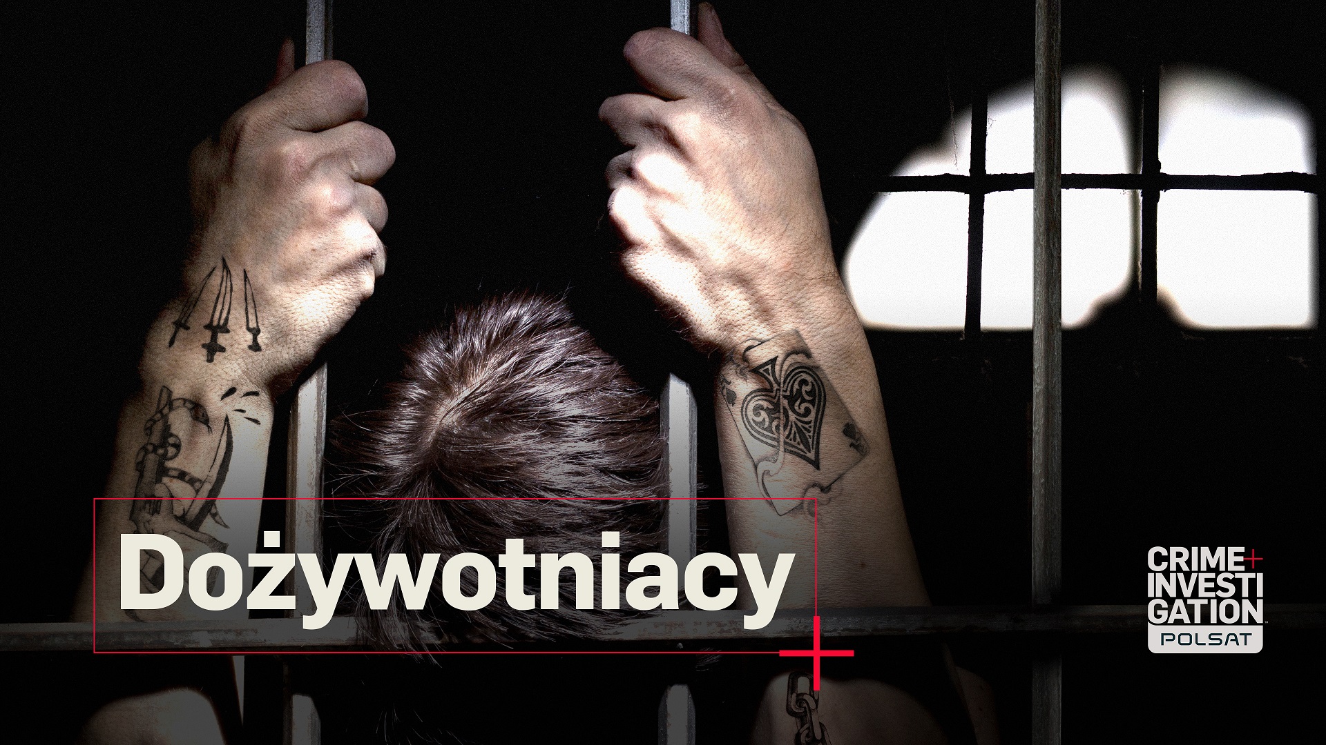 Dożywotniacy